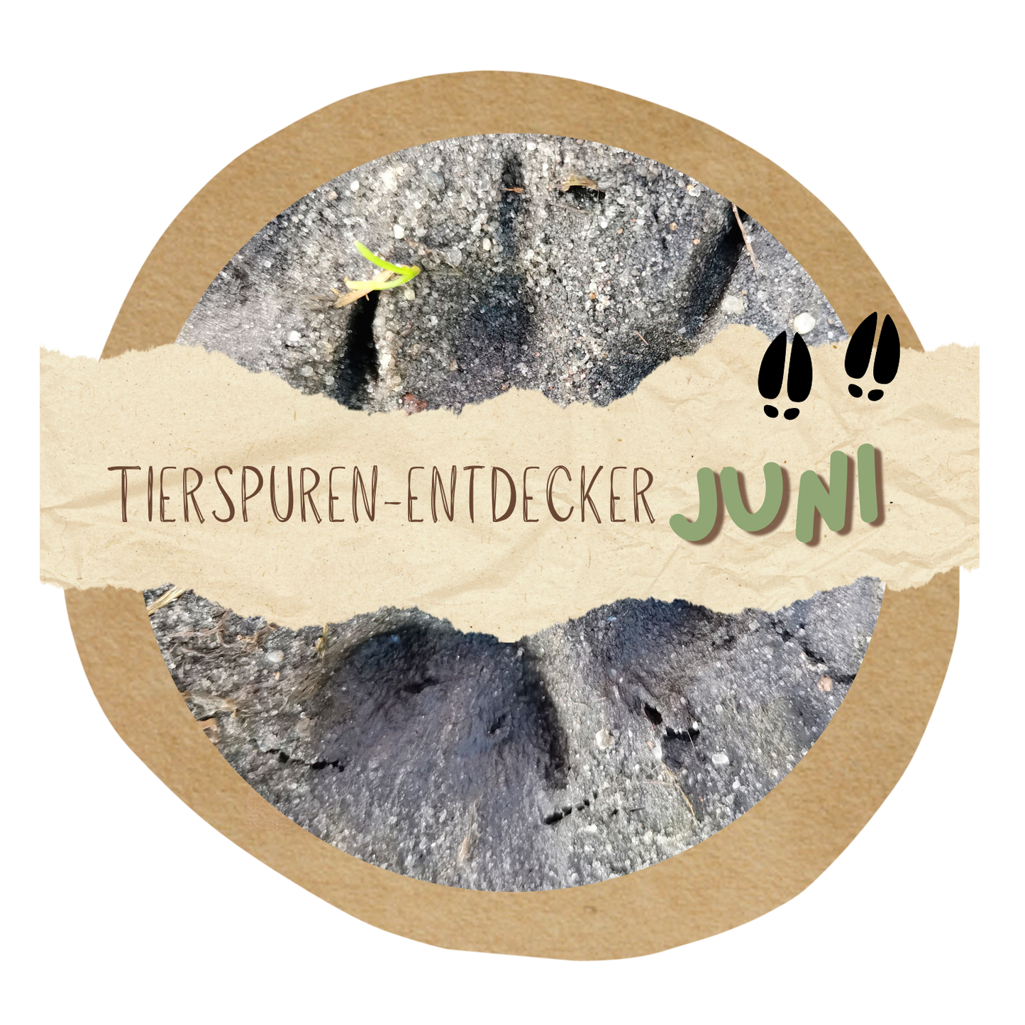 Kurs "Tierspuren-Entdecker" - Samstag, 27. Juni 2026