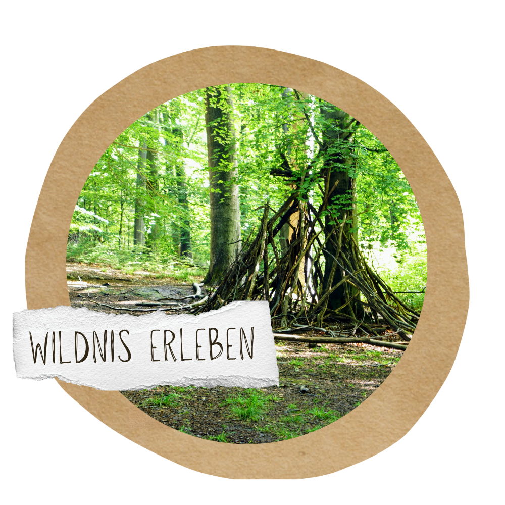 Ferienaktion "Abenteuer Wildnis" - 14. Juli 2025