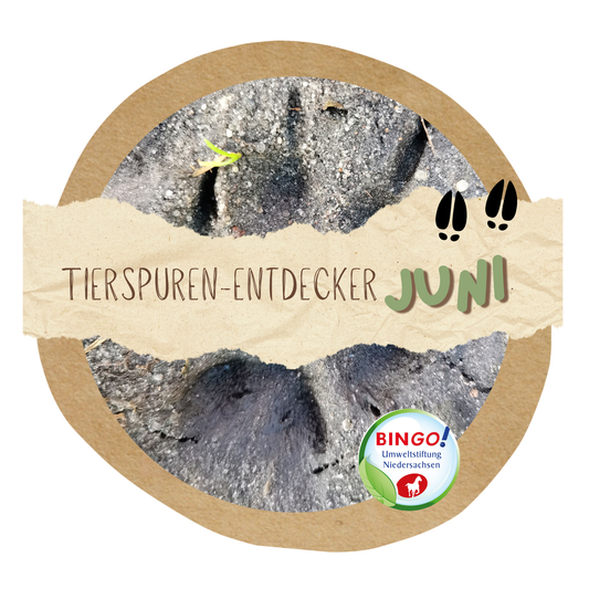 KOSTENLOSER AKTIONSTAG: "Tierspuren-Entdecker" - Samstag, 27. Juni 2026